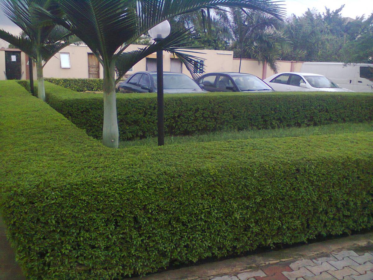 Orchid Hotel Asaba Exterior foto